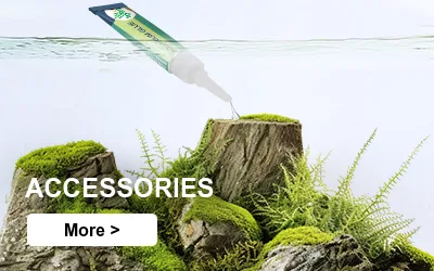aquascaping accessories