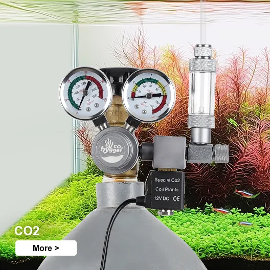aquascaping co2