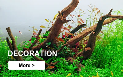 aquascaping decoration