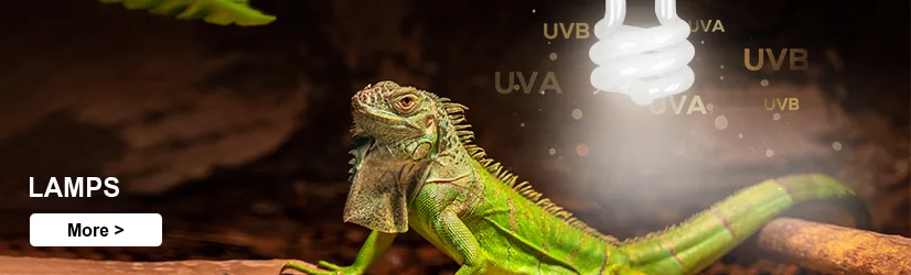 reptile lamps