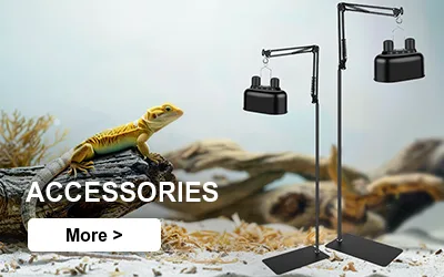 reptile reptile-accessories