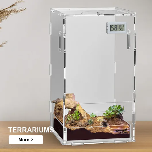 reptile terrariums