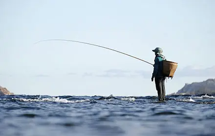 An angler is fishing by the river