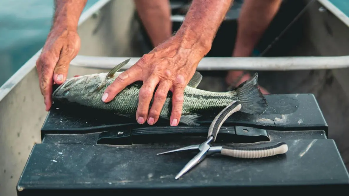 cleaning a fish
