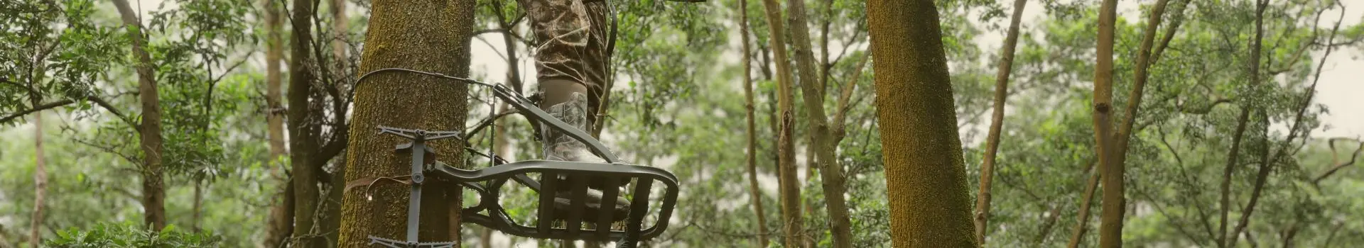 tree stand safety category