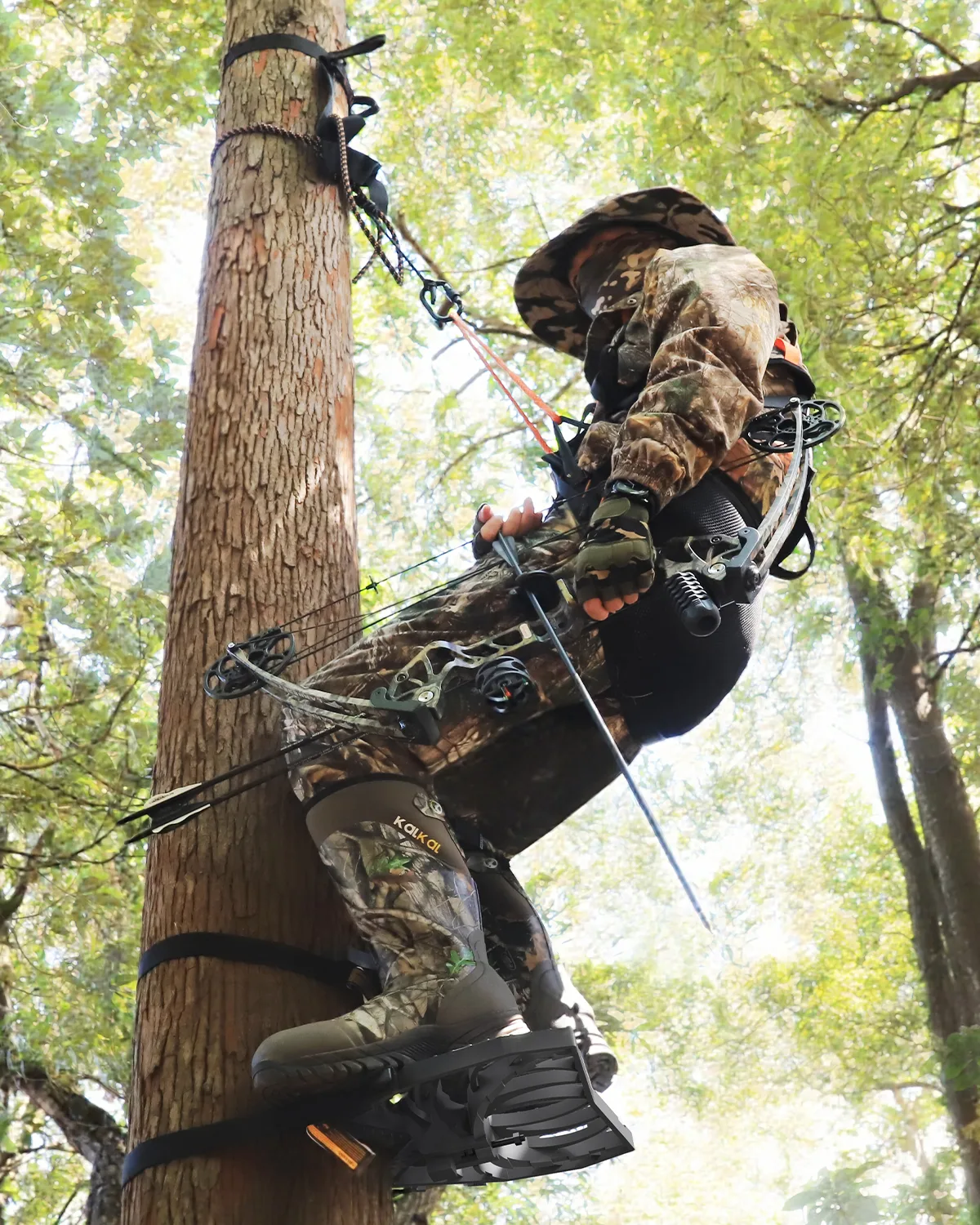 tree hunting with saddle hunting climber platform and safety harness